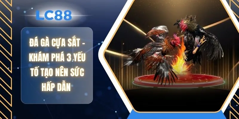 Đá Gà Cựa Sắt - Khám Phá 3 Yếu Tố Tạo Nên Sức Hấp Dẫn 